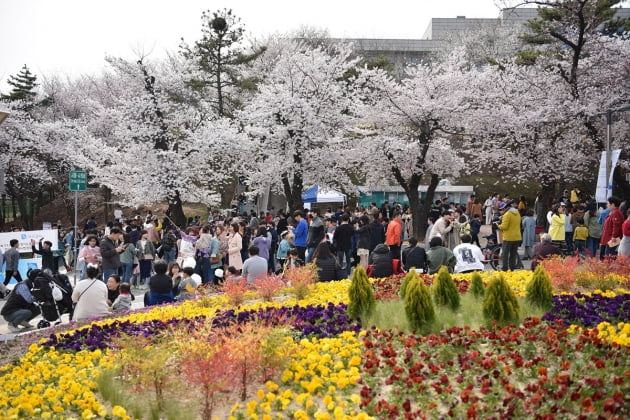 경기도, 옛 '팔달 청사'에서 봄꽃 축제 연다